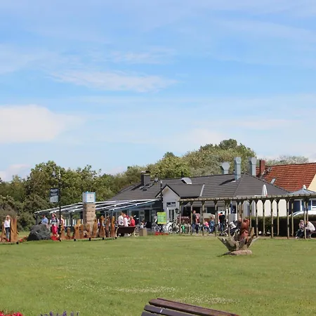 Denise Ostsee Hummel *