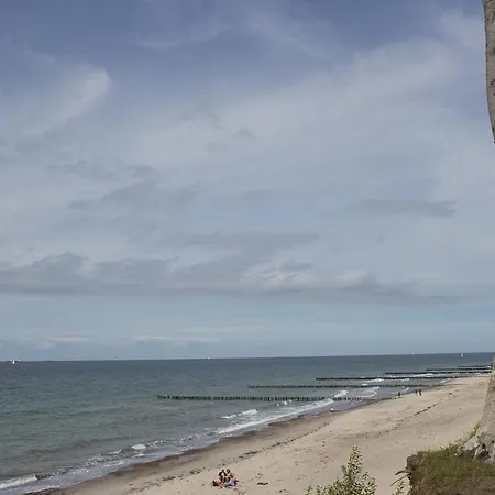 Denise Ostsee Hummel * אוסטזיבאד נינהאגן