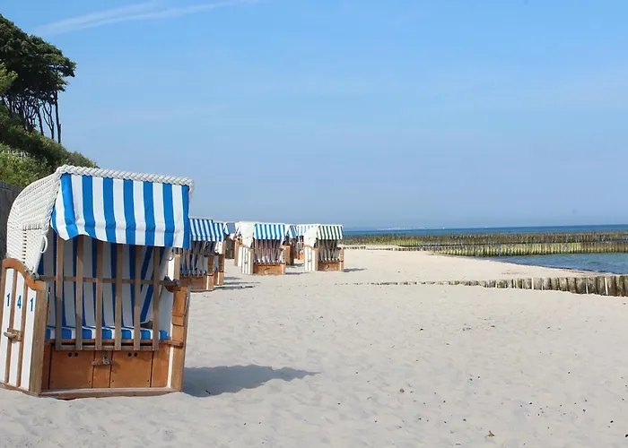 Denise Ostsee Hummel *